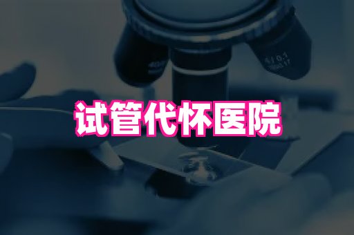 nub孕网 3