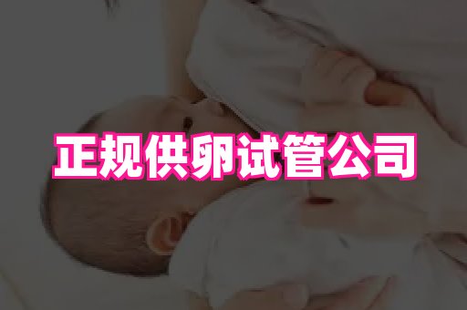 nub孕网 4